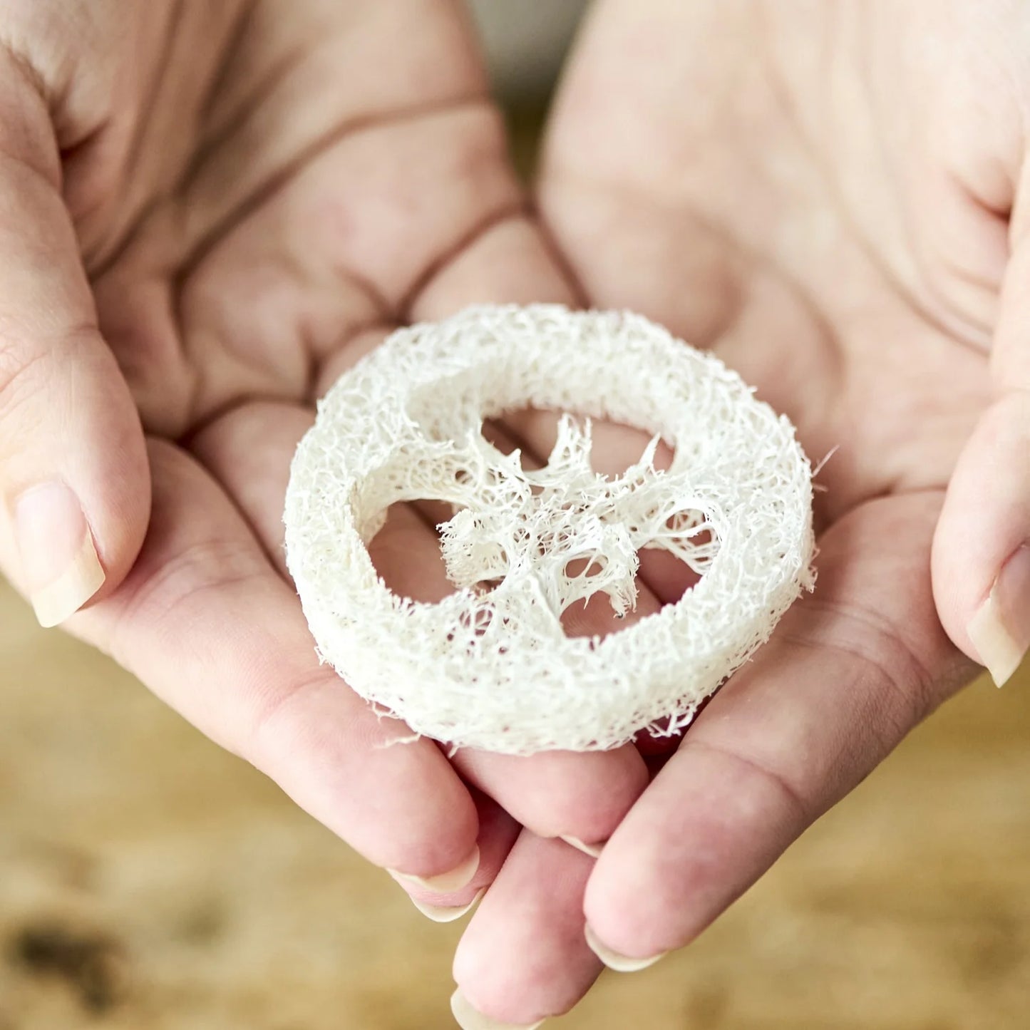 Kystnært Loofah sæbeholder