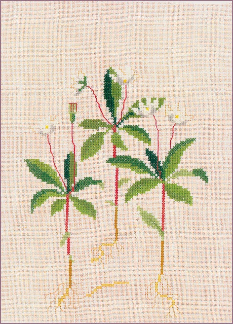Haandarbejdets Fremme Broderi Kit