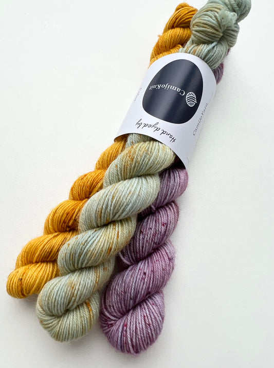 CamijoKnit 3 mini skein set.