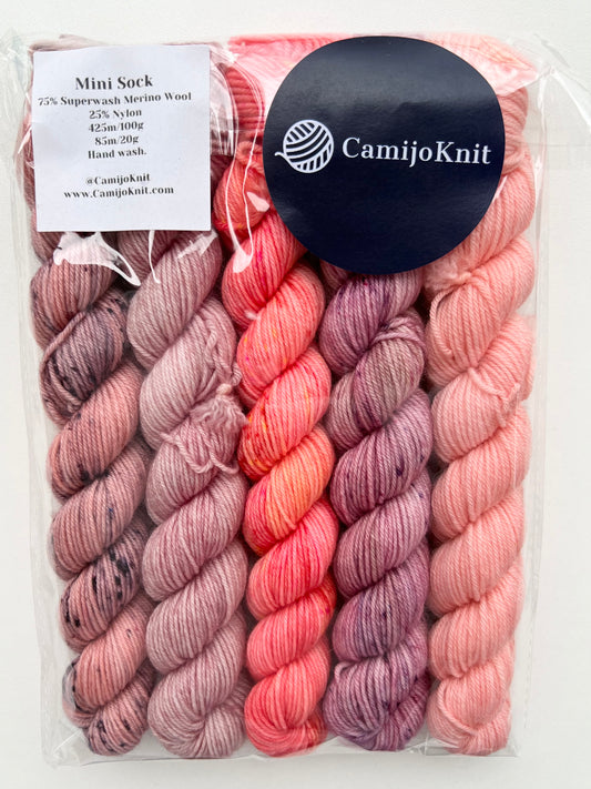 CamijoKnit 5 mini skein set, Sock